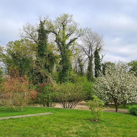 Apartament Chez Jaja Et Phiphi Bourg-et-Comin Zewnętrze zdjęcie